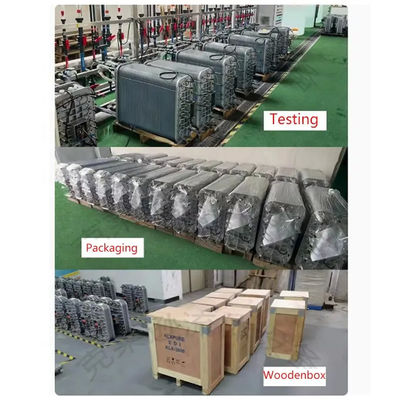 High Temperature Series EDI Stacks LX-HD-500 With Disinfection Time About 1.5 Hours