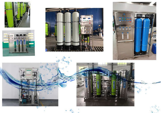 98%~99% Desalination Rate 250 LPH Commercial Reverse Osmosis Plant For Drinking Water