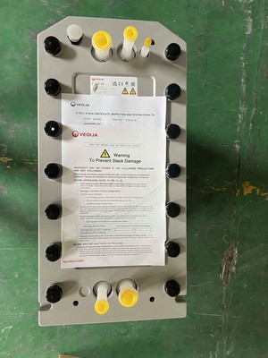 Veolia MK-5 EDI Module (Previously E-CELL-3X) For Semiconductor Industries