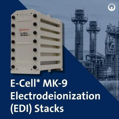E-Cell MK-9 EDI Stack for High Purity Water Production with 18.5-44.0 GPM Flow Range and No Chemical Regeneration in Stainless Steel