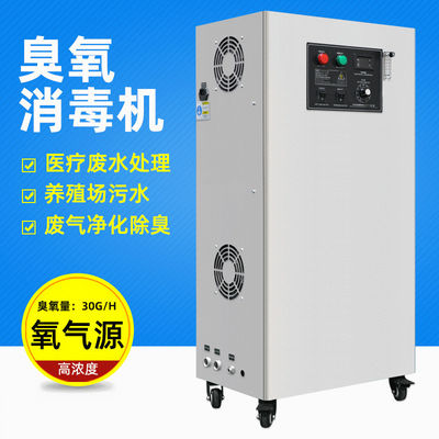 1000g/H Water Disinfection Equipment Ozone Generator Water Purifier