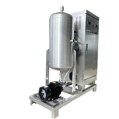 100g/h Water Disinfection Equipment , Ozone Water Treatment Machine