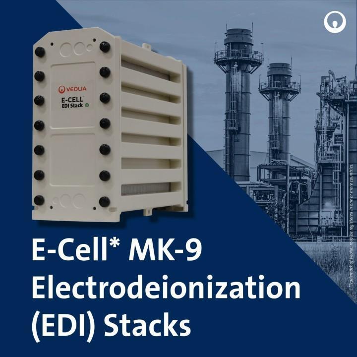 E-Cell MK-9 EDI Stack for High Purity Water Production with 18.5-44.0 GPM Flow Range and No Chemical Regeneration in Stainless Steel