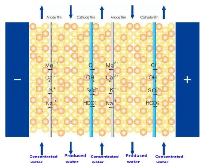 Double Pass RO 1500L/H EDI Ultrapure Water Machine For Industrial 1