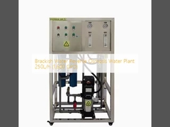 Brackish Water Reverse Osmosis Water Plant 250L/h (1,600 GPD)