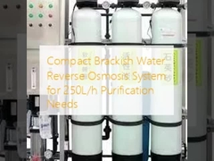 Compact Brackish Water Reverse Osmosis System for 250L/h Purification Needs